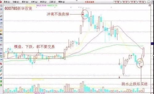 巴菲特点破中国股市 用最 笨 的方法炒股,牢记八句操盘口诀