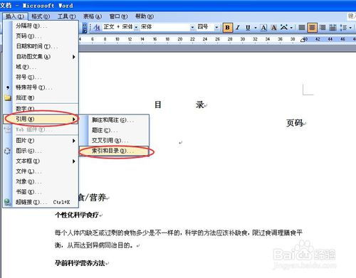 Word文档如何插入页码制作目录 