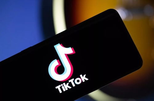 国际版tiktok注册_TikTok零售电商