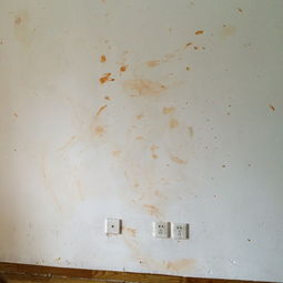 租的房间一面墙一部分被酱弄脏了,怎样可以快速简单实惠将墙面刷白 