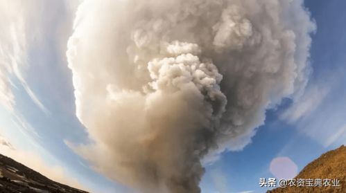 汤加火山喷发,会造成2022年是无夏之年吗 对农业生产有影响吗