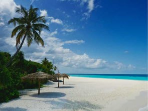 马尔代夫鲁滨孙岛浪漫度假的最佳去处