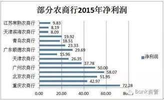 举例说明什么叫股份合作制