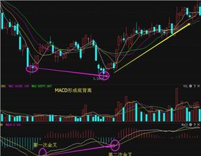 ：为什么某个股票每天都会有一笔神秘的交易，小到几千手，大到几百万手的交易，说它神秘，就是每天都会突然