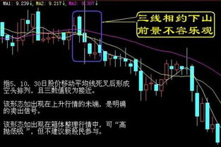 股票 一次性成熟什么意思？望大家详细解释一下