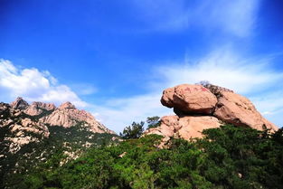 大家好,给大家介绍下,这是青岛崂山年卡 