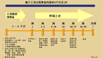 求： 海外上市流程！