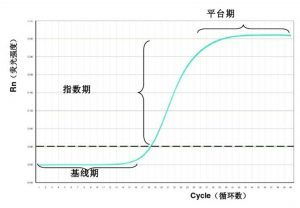 相对定量法分析qRT PCR数据 