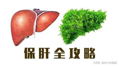 怎么做到养肝护肝