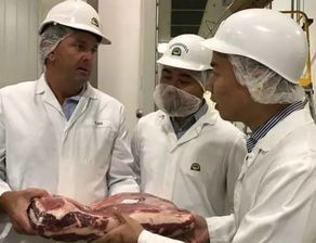 澳洲牛肉公司起名大全 澳洲牛肉公司起名大全