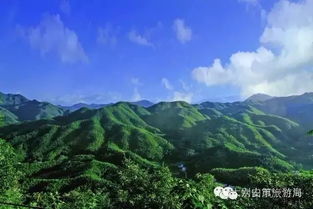 这里云雾氲氤 恍若仙境 万顷碧波,她的名字叫六安霍山大林竹海 