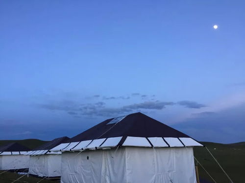 曾经的若尔盖黑帐篷部落已更名为 栖山.黑帐篷营地,新营地可露营,看星星 