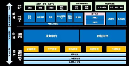 金轮蓝海股份有限公司怎么样？