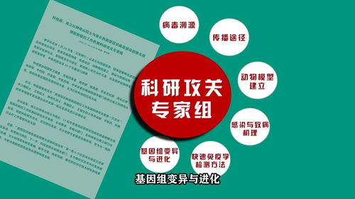广东重点布局3条疫苗研发 腺病毒载体疫苗有望2月28日前开展动物实验