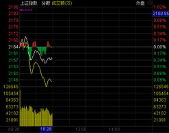 盘中，分时图带量冲高迅速回落，缩量横盘