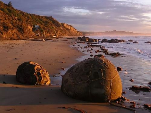 神秘海滩现 巨石蛋 ,或是恐龙蛋化石 吸引无数情侣到此参观