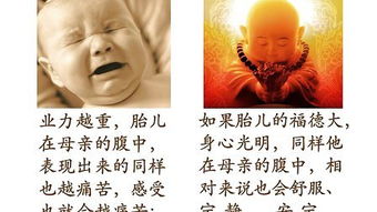 佛教中关于胎教的内容,佛教怎么胎教