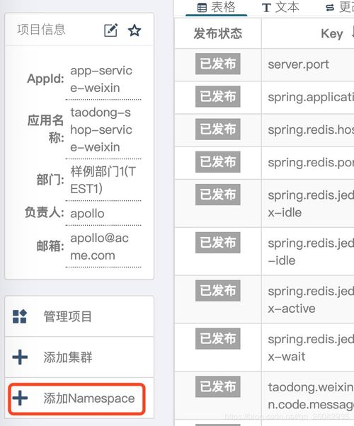 淘东电商项目 15 项目配置信息分类 Apollo Namespace命名空间