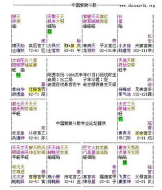 您好 麻烦您帮忙解释这个紫微命理 尽量详细些 