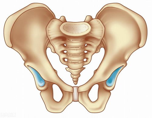 为什么骨盆会歪斜 最常见的问题是这3种 这些你要知道
