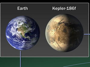 开普勒 186f的星体知识 