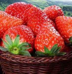丹东草莓几月份最好吃,草莓适合什么时候吃？