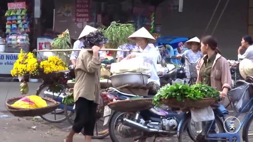 看看越南女人怎么摆摊做生意 越南街头很常见的一幕 
