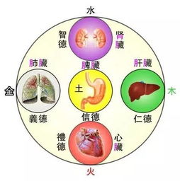 4 女人,你不懂中医五行,擦什么化妆品都没用