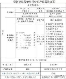 大冶特钢炼铁高炉产能置换项目整改方案公示