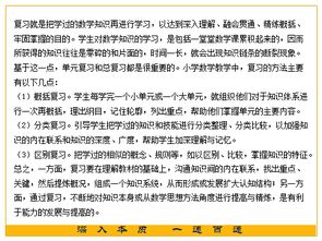 数学学习指导方法与技巧