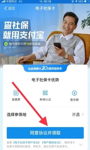 如何查询农**疗的历史缴费记录？