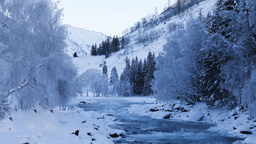 15 的冰天雪地,开什么SUV最稳最安全