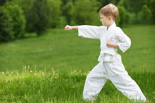 小朋友几岁学武或散打比较好(小孩子多大适合学武术)