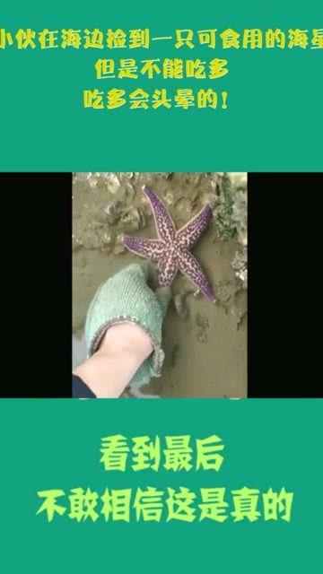 海星怎么弄好看？在海边捡到海星怎样做成标本(海星怎么做成标本用蒸熟吗)