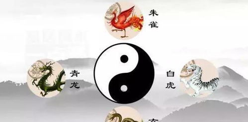 俗话说左青龙,右白虎,前朱雀,后玄武,那在中间的是什么