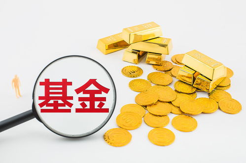 明星基金经理杨栋掌舵 富国均衡优选新年首发