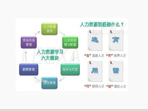 人力资源管理师六大模块介绍，人事六大模块是什么