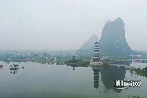 柳州人家门口旅游胜地, 西湖 美景等你来打卡