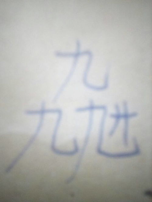 这个字念什么 什么意思 