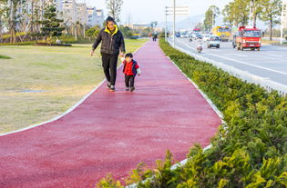 温岭美丽公路建设进展迅速 西环路两侧 迎宾大道春节前完成绿化道铺设 