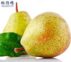 最补肾的水果排名对肾好的水果有哪些,最补肾的水果排名对肾好的水果有哪些