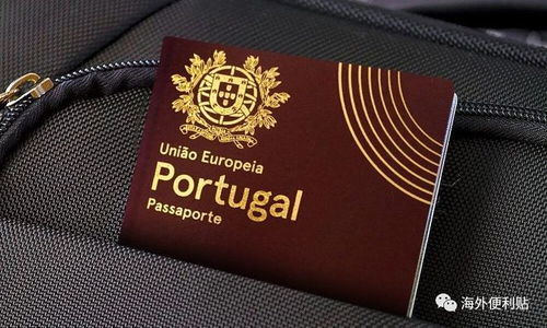 葡萄牙黄金签证可以带成年子女吗(葡萄牙签证申请需要准备材料)