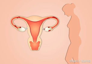 女人怀孕多少天,能检查出是不是 宫外孕 孕妈要做到心中有数