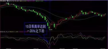 中国股市散户误区之七T1操作波段操作与长期持有之分析