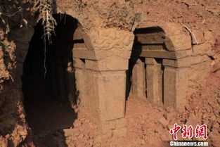四川蒙顶山发现千年古墓 挖出似当年采茶农具