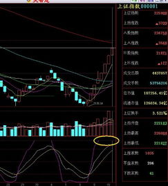 上证指数上涨说明什么问题