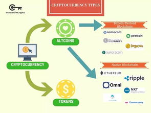 CoinToken˫