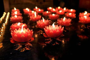 搜狐公众平台 陕西唯一藏传佛教寺 广仁寺新年祈福灯会昨晚点亮 