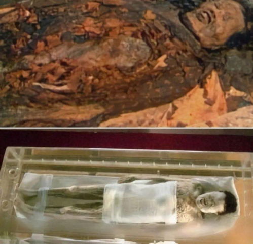千年古墓 长沙马王堆汉墓,被称作 第一妖墓 ,国宝级文物,现代科技无法复制