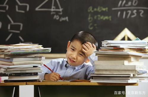 2021各地中小学暑假时间汇总,黑龙江最短,仅放31天